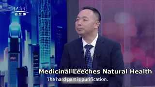 Credit China（Part 1）